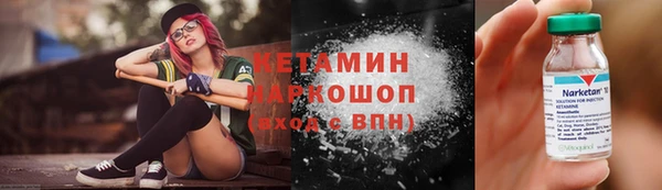 СК Алексин