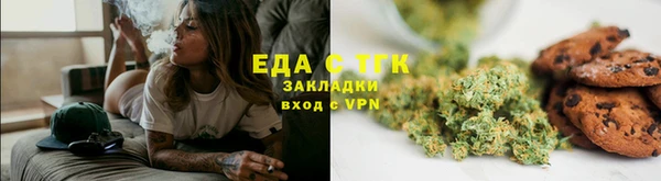 хмурый Алзамай