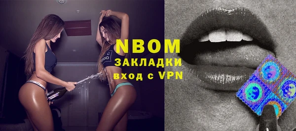 хмурый Алзамай