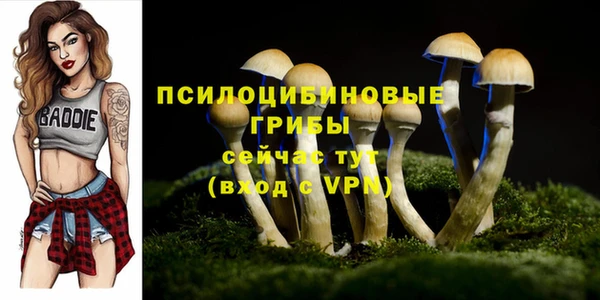 ешки Алексеевка
