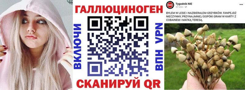 Псилоцибиновые грибы Magic Shrooms  Учалы 